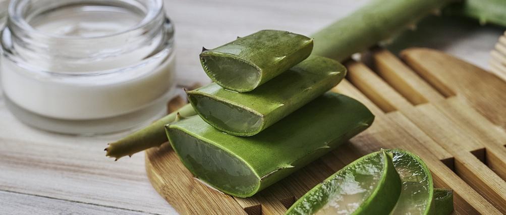 Rodajas de aloe vera y crema hidratante sobre una mesa de madera.