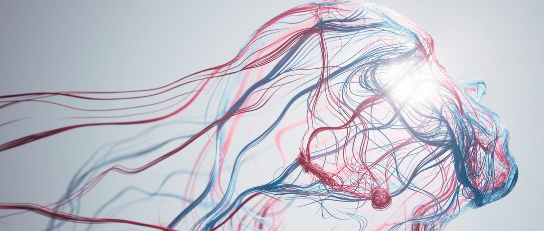 Ilustración artística abstracta de líneas rojas y azules que forman una silueta de perfil sobre un fondo claro.