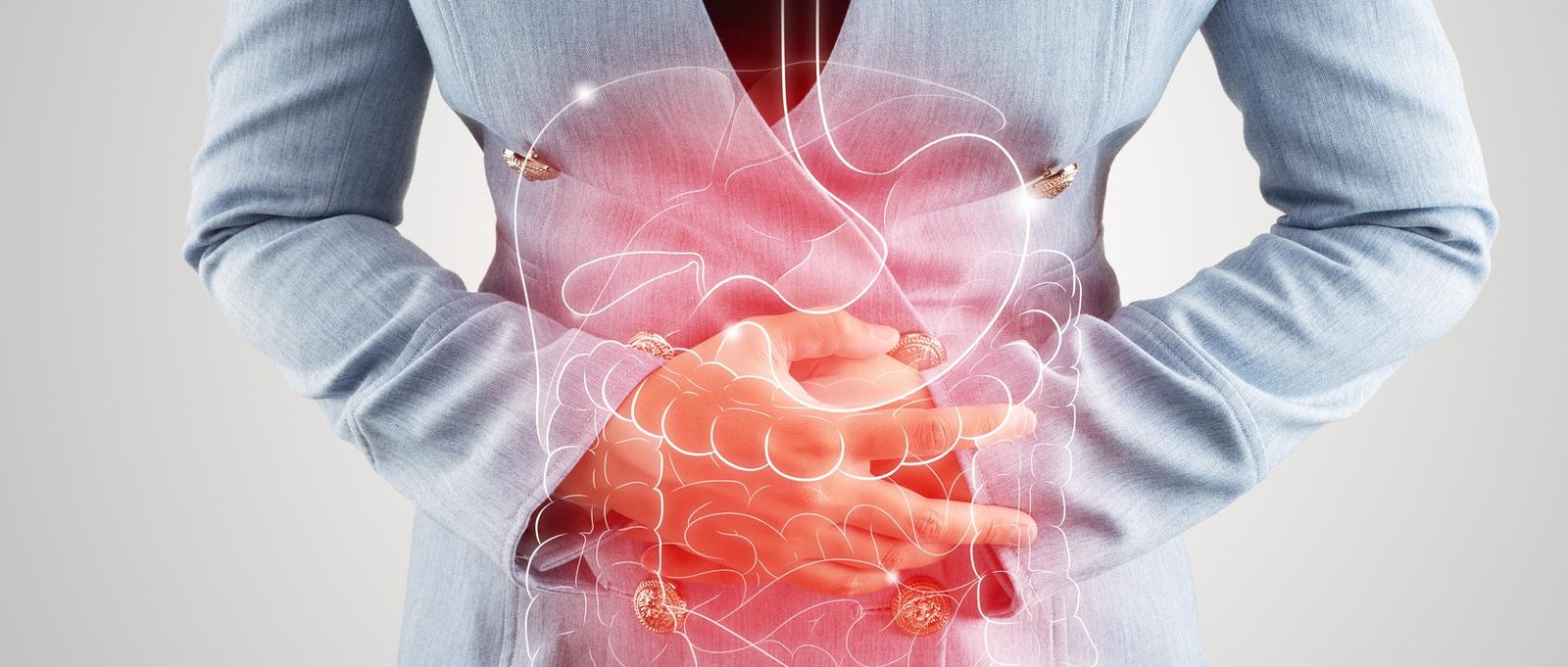 Ilustración de los órganos internos está en el cuerpo de la mujer contra el fondo gris. Negocios Mujer tocando estómago doloroso sufrimiento de enteritis. órganos internos del cuerpo humano.