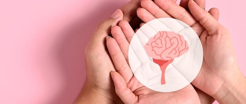 Manos humanas sosteniendo ilustración circular rosa de un cerebro sobre blanco, sobre fondo rosa.