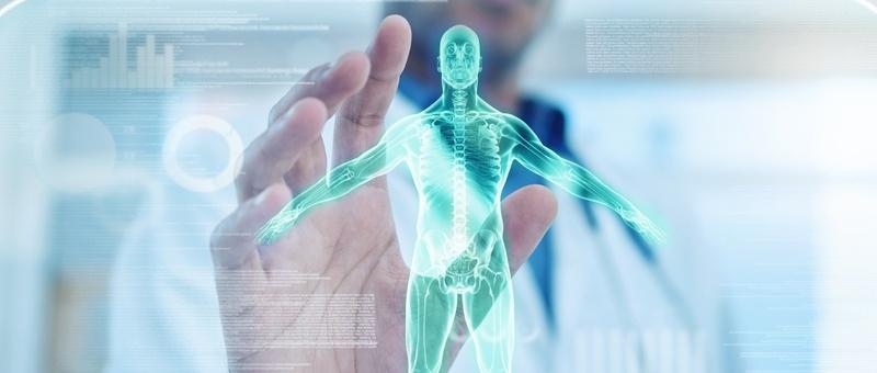Mano interactuando con una pantalla holográfica de anatomía humana de color turquesa brillante que muestra los sistemas esquelético y muscular.