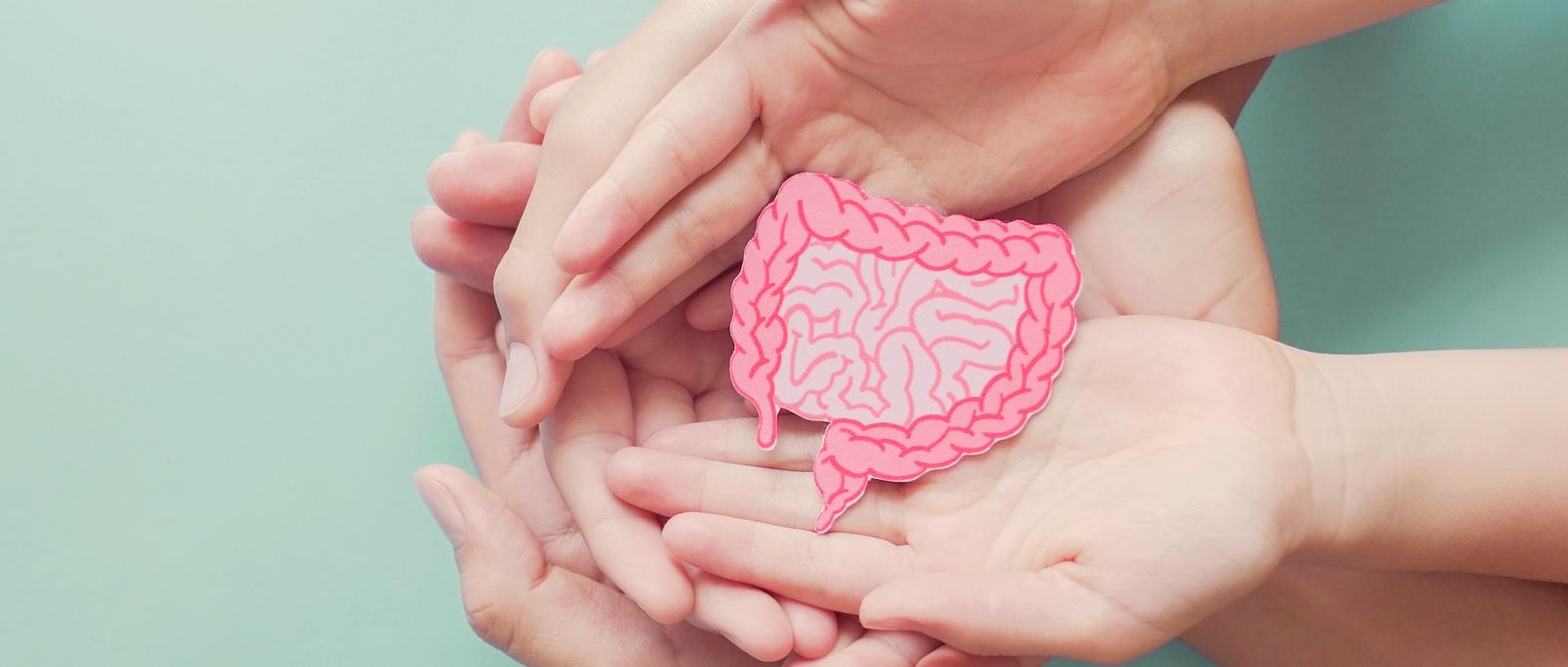 Manos que sostienen un recorte de cartón de una tripa