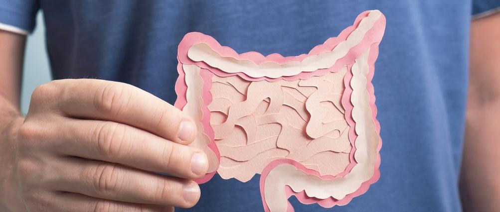 Healthy digestion concept, probiotics and prebiotics for microbiome intestine