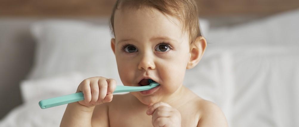 Dientes de leche