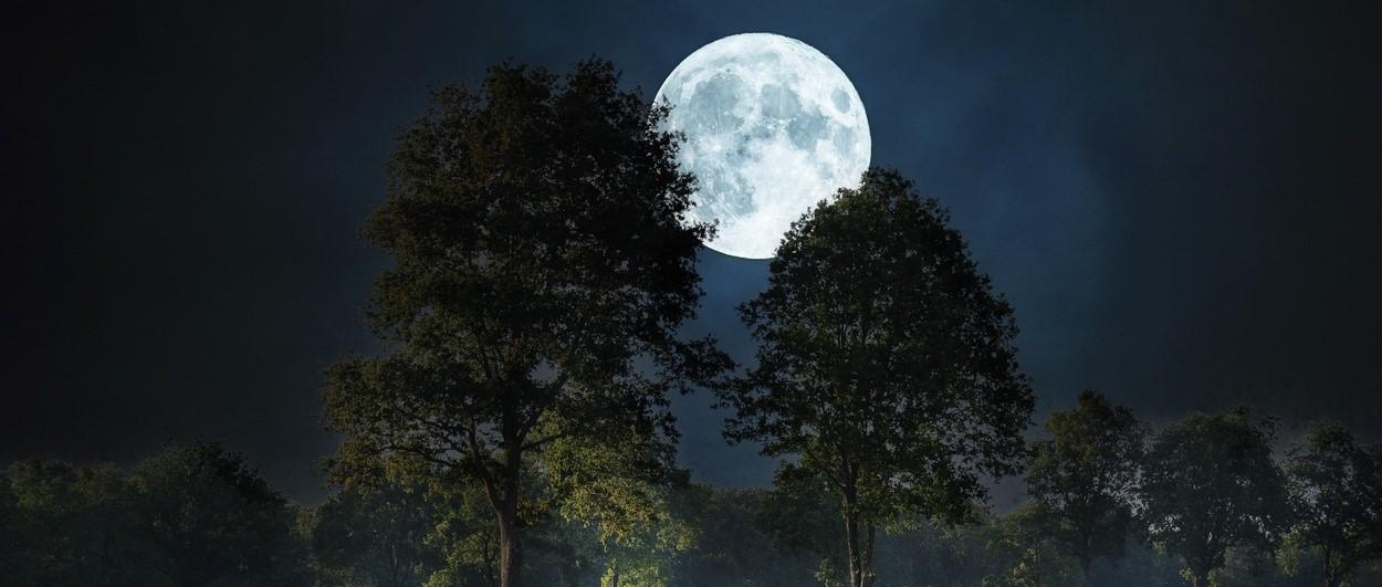Luna llena