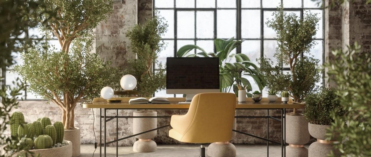 Plantas de interior