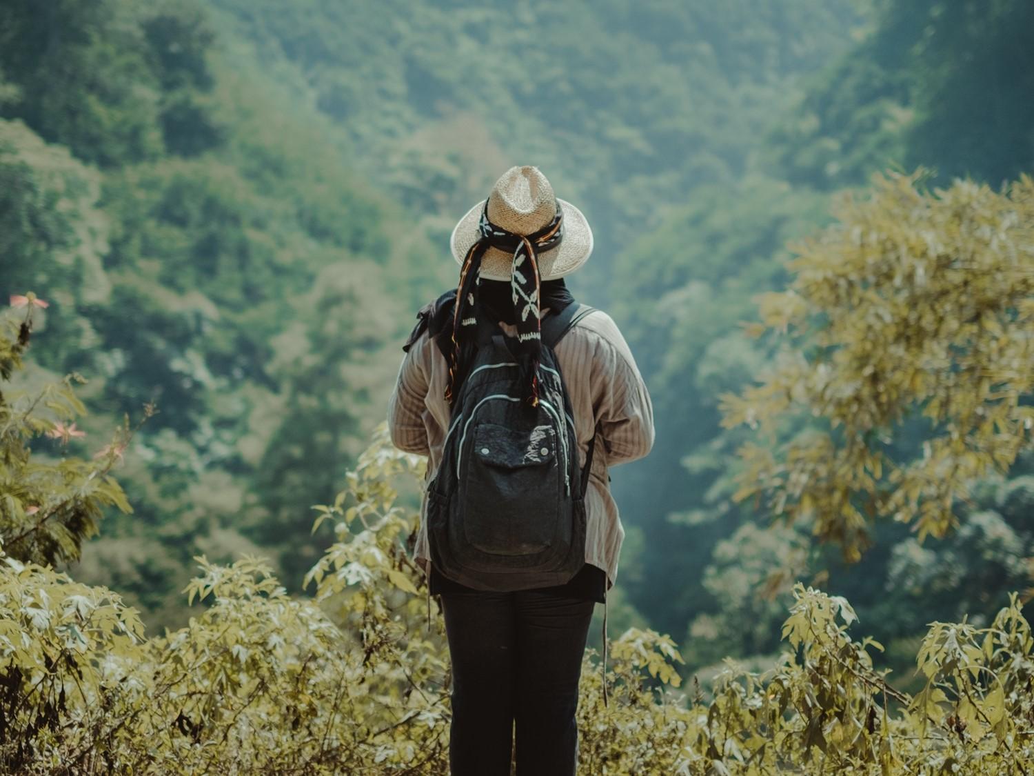 Fiebre tifoidea y paratifoidea