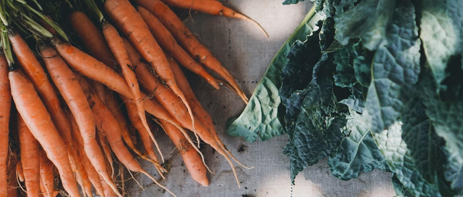 Zanahorias frescas de color naranja con la parte superior verde junto a col rizada de hojas oscuras sobre una superficie de tela clara.