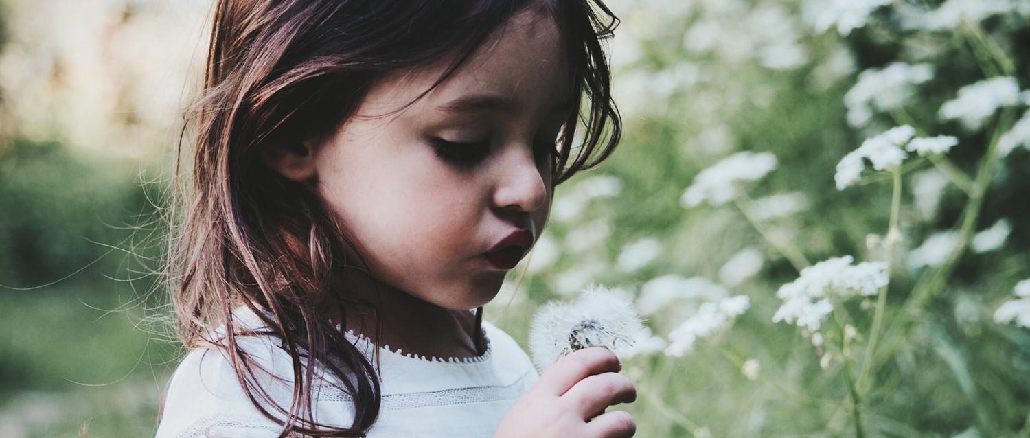 Niño pequeño con el pelo oscuro sosteniendo una cabeza de semilla de diente de león en un prado con flores silvestres blancas de fondo.