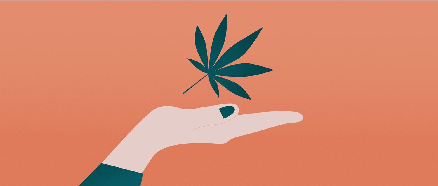 aceite de cbd