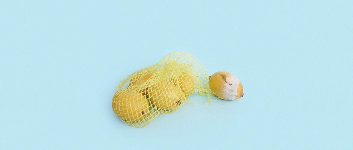 Imagen del artículo destacado