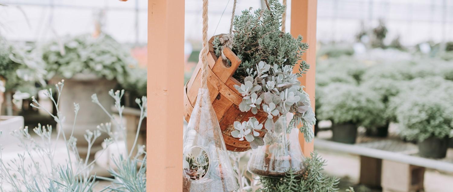 Cesta colgante de madera con suculentas y pequeños terrarios de cristal en un vivero con postes de color melocotón suave.