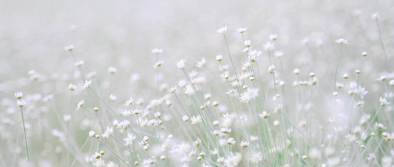 ¿Está relacionada la fiebre del heno con la depresión?