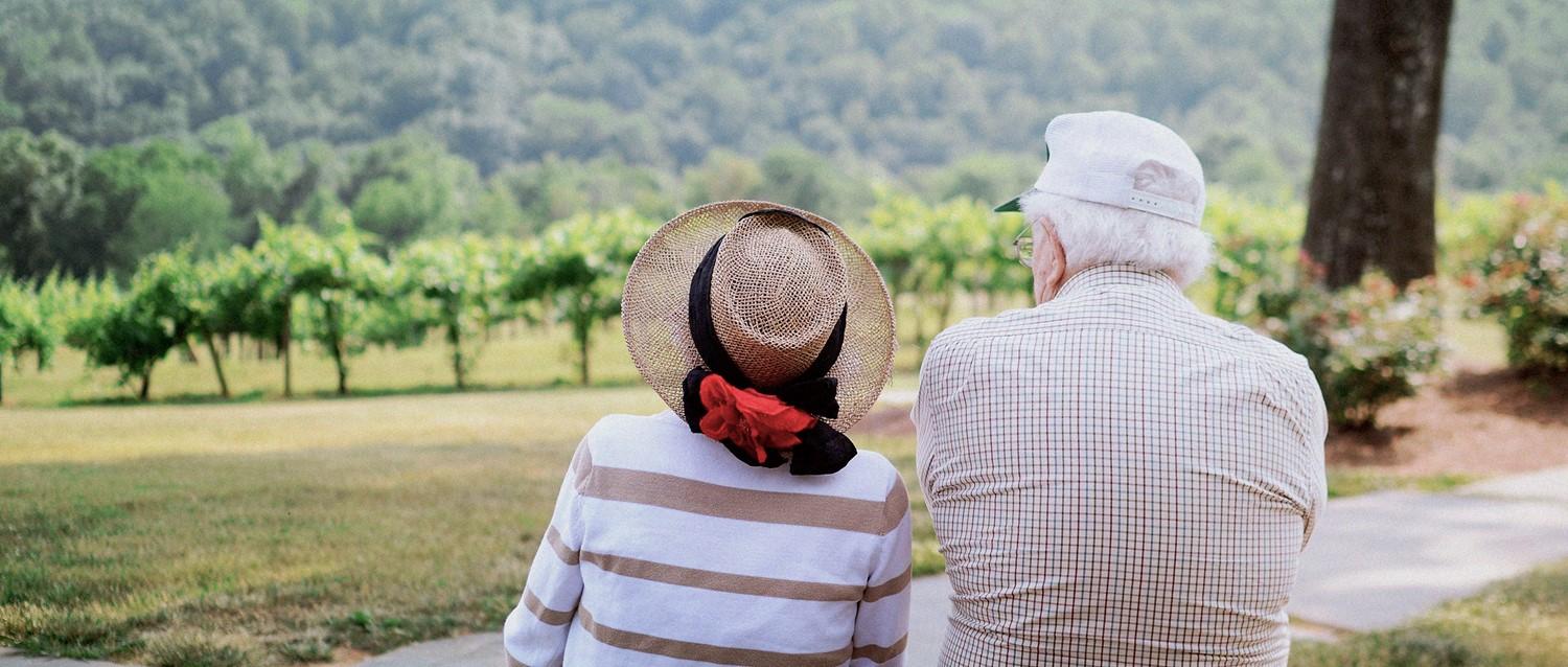 Pareja de ancianos de espaldas, con vistas a un paisaje de viñedos; uno lleva un sombrero de paja con flor roja, el otro una gorra blanca.