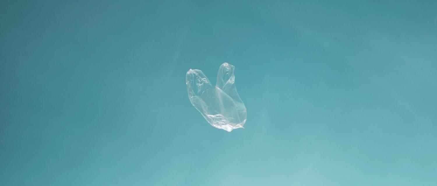 efectos de los microplásticos en el ser humano