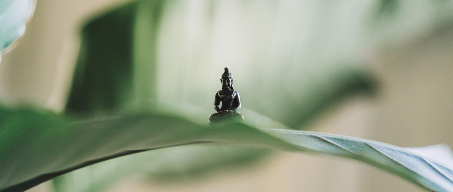 meditación