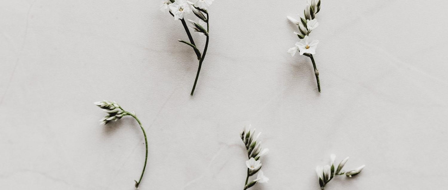 ¿Son buenas las pruebas de ADN?