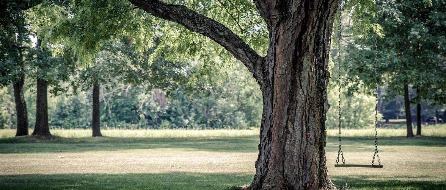 Coronavirus: ¿por qué el aire libre es más seguro que el interior?