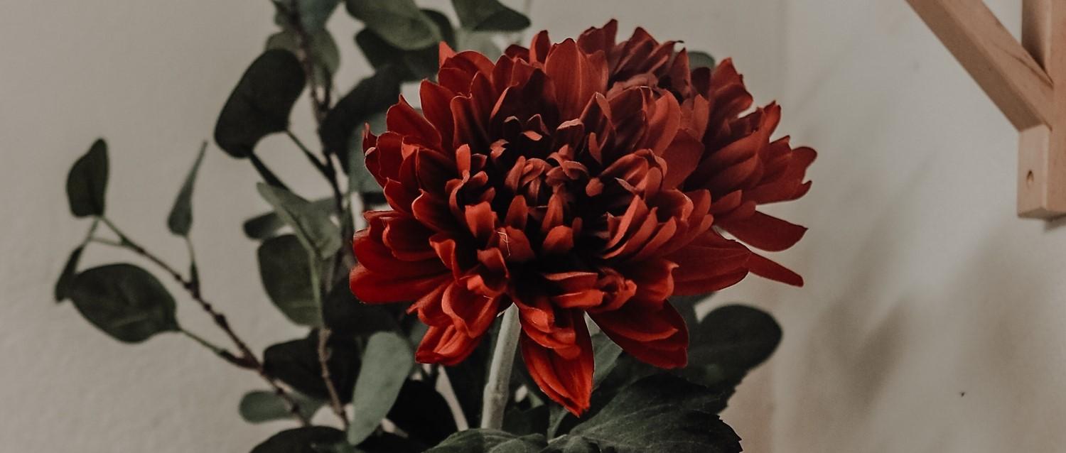 ¿Pueden los análisis de sangre ayudar a controlar la menopausia y la THS?