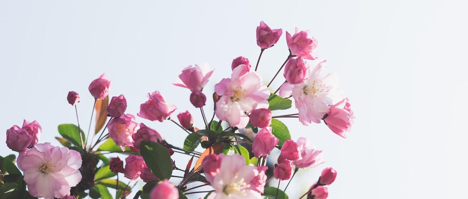 ¿Puede la primavera empeorar la depresión?