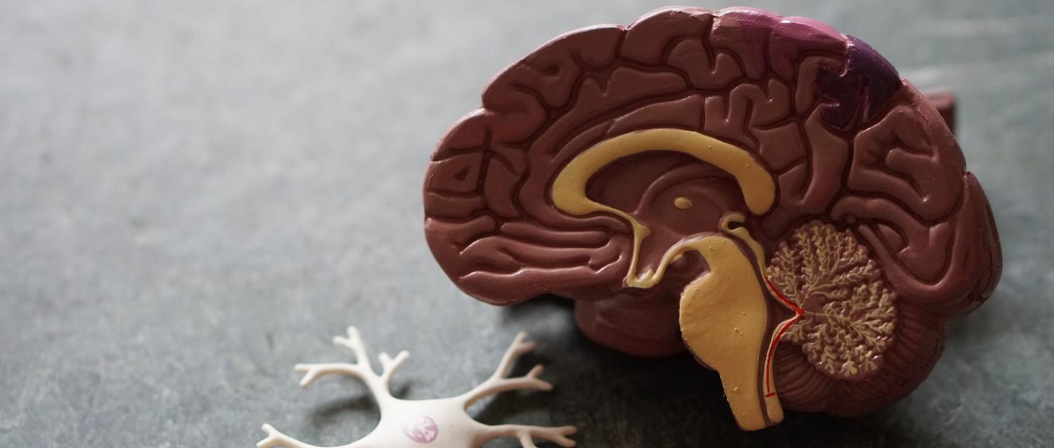 ¿Se vislumbran nuevos tratamientos para la esclerosis múltiple?