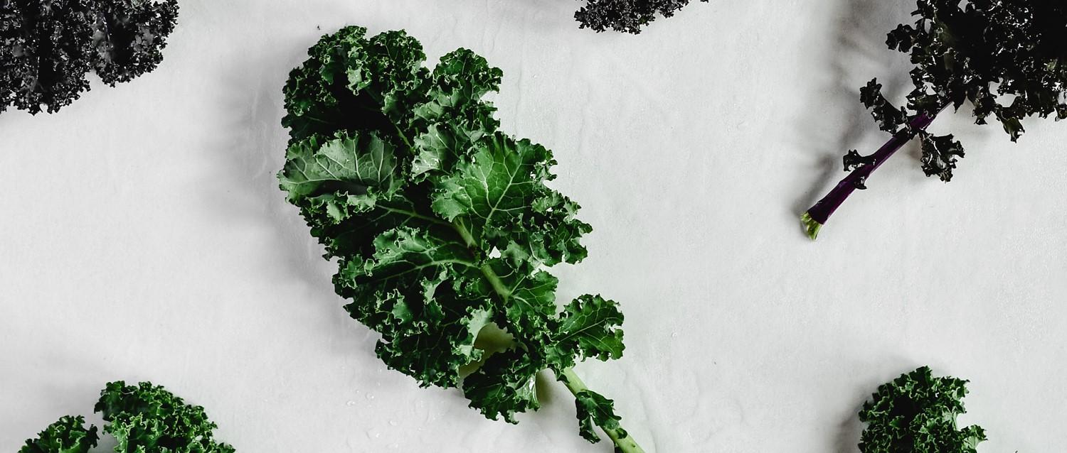 ¿Puede una dieta basada en plantas mejorar sus migrañas?