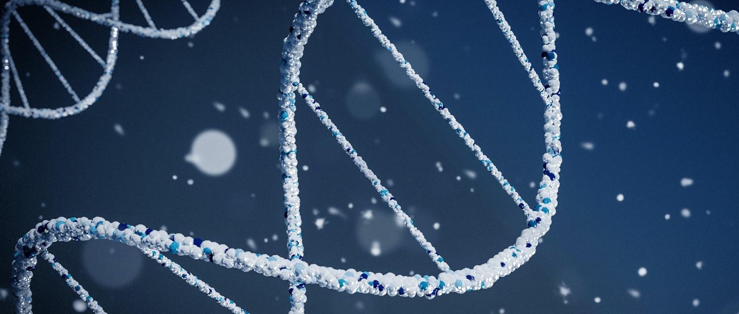 ¿Qué importancia tiene la genética en la miocardiopatía?