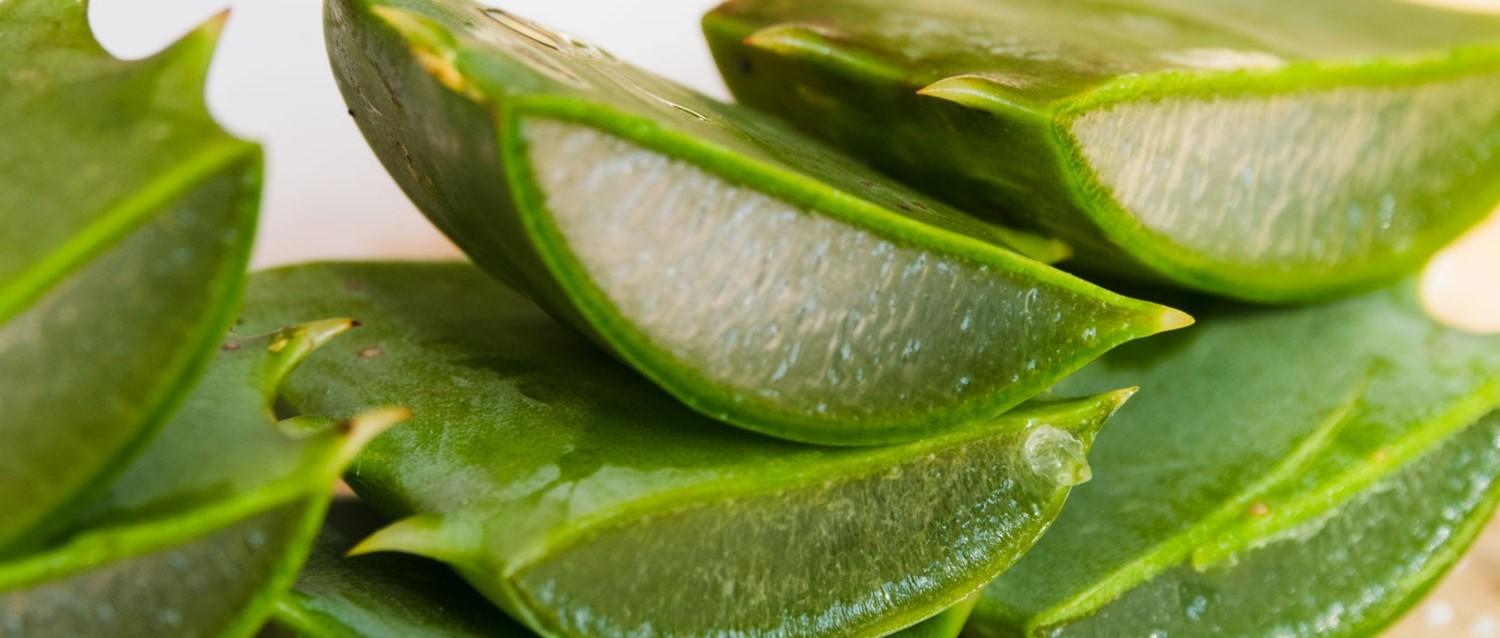 ¿Ayuda realmente el zumo de aloe vera a la salud intestinal?