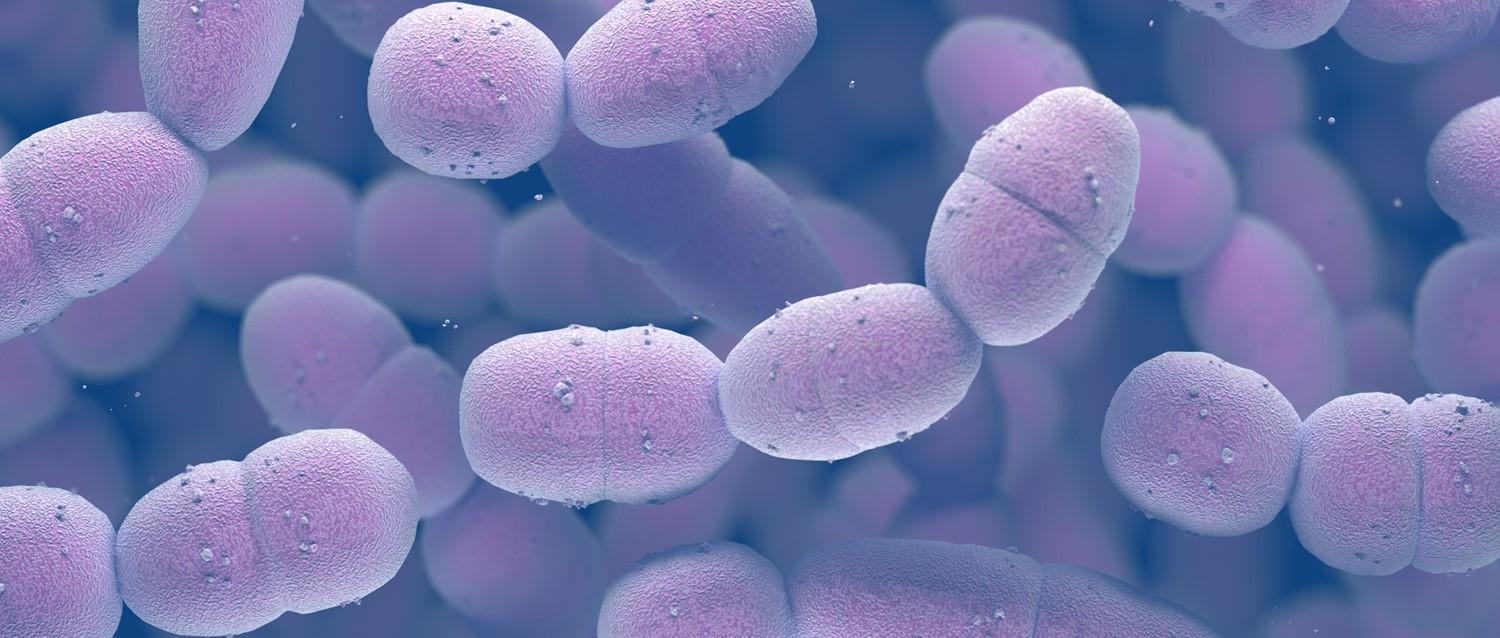 Estreptococo A: ¿Qué es el estreptococo invasivo del grupo A?