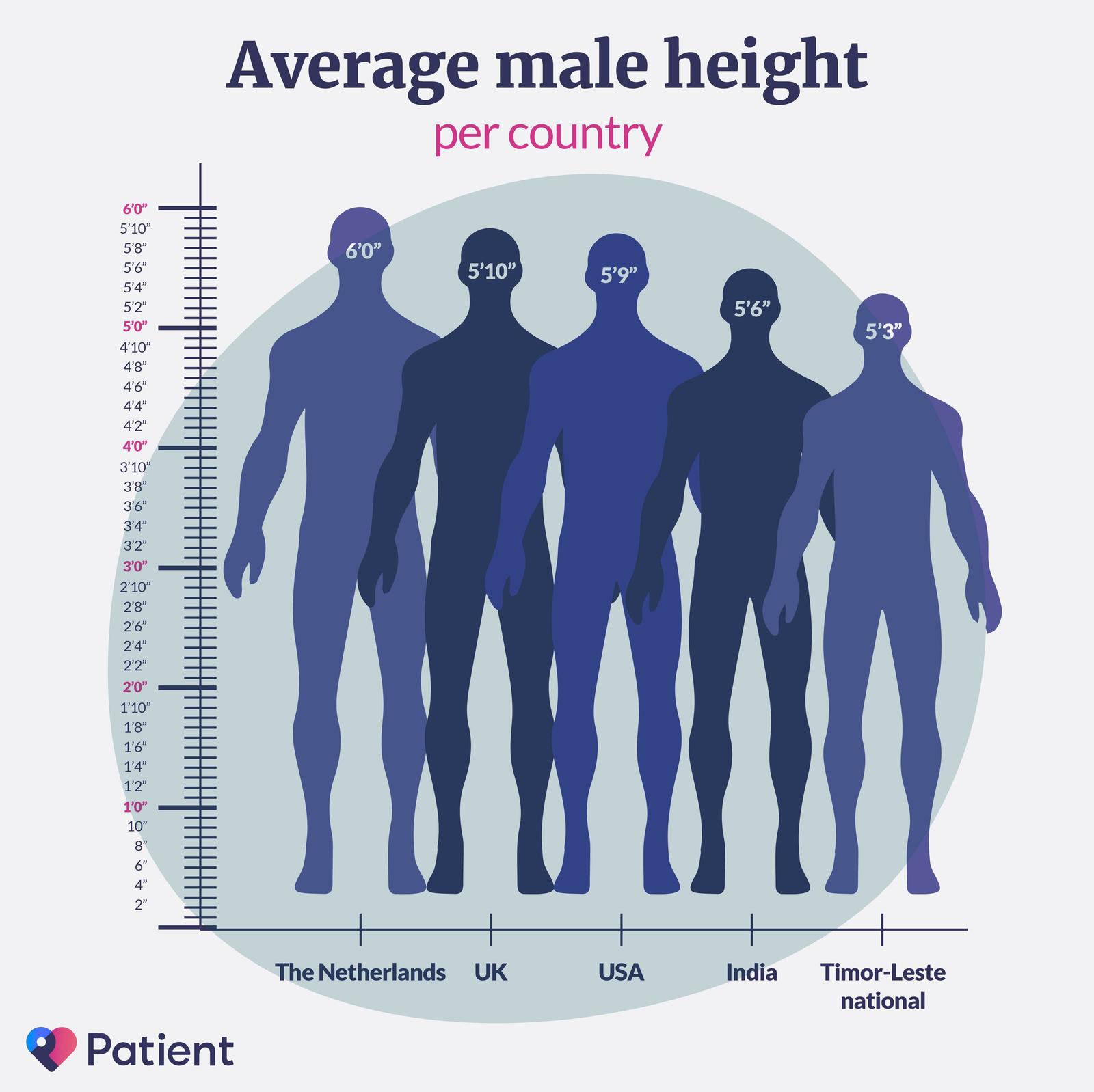 Altura media masculina